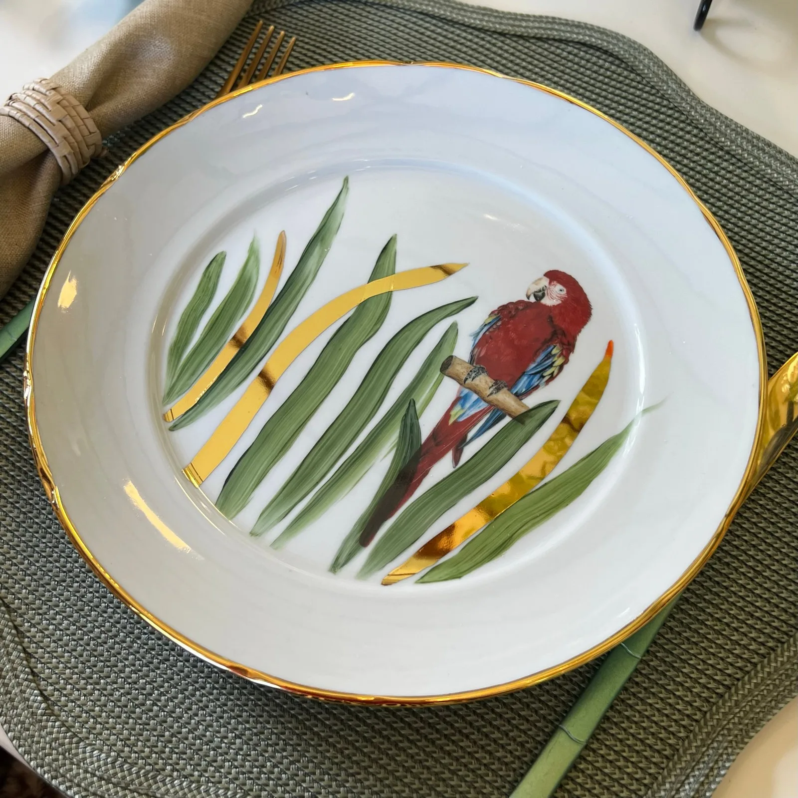 Prato Raso Aves do Brasil — foto 4